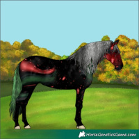 Horse Color:Unknown 