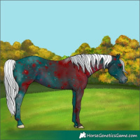Horse Color:ERROR: UNKNOWN ANOMALY