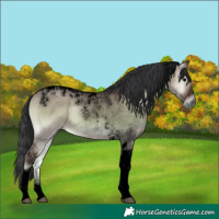 Horse Color:Void Brown Onyx Tobiano