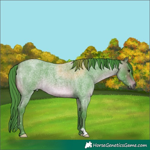 Horse Color:Unknown 