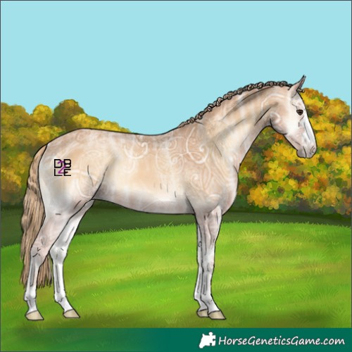 Horse Color:Red Onyx Ice Rabicano