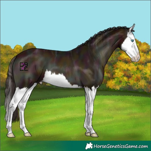 Horse Color:Midnight Bay Ice Onyx Splash