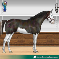 Horse Color:Midnight Bay Ice Onyx Splash 