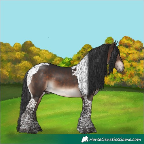 Horse Color:Bay Mushroom Tobiano 