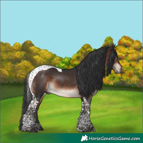 Horse Color:Bay Mushroom Tobiano 