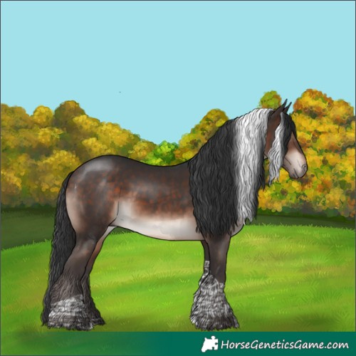 Horse Color:Bay Mushroom Tobiano 
