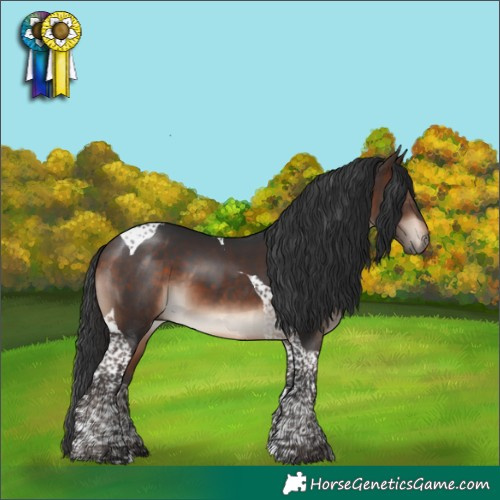 Horse Color:Bay Mushroom Tobiano
