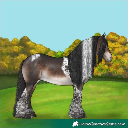 Horse Color:Bay Mushroom Tobiano 