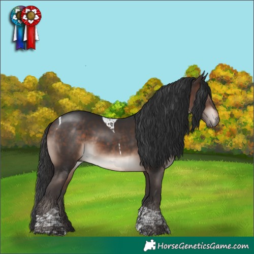 Horse Color:Bay Mushroom Tobiano 
