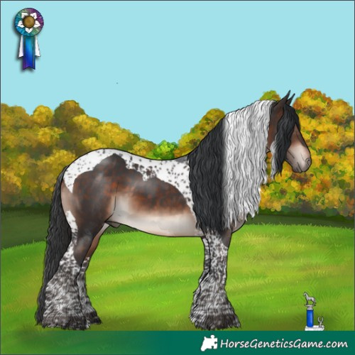 Horse Color:Bay Mushroom Tobiano 