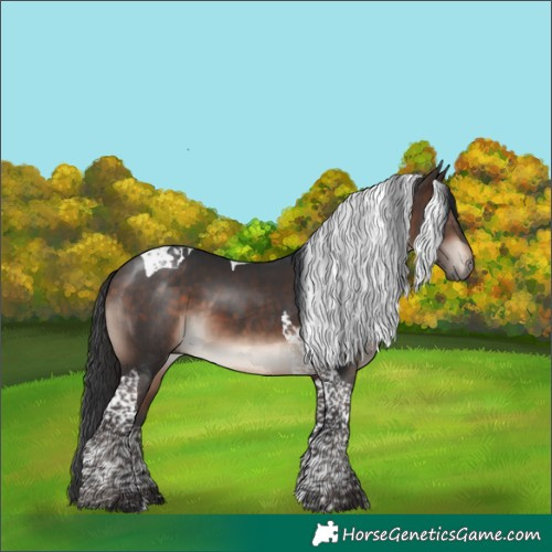 Horse Color:Bay Mushroom Tobiano 