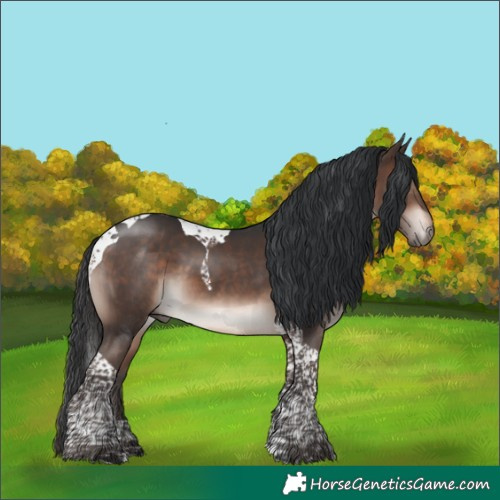 Horse Color:Bay Mushroom Tobiano 