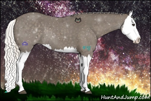 Horse Color:Silver Smoky Black Splash 