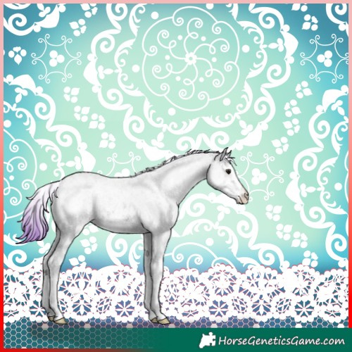 Horse Color:Watercolor White Spotted Midnight Buckskin Ice