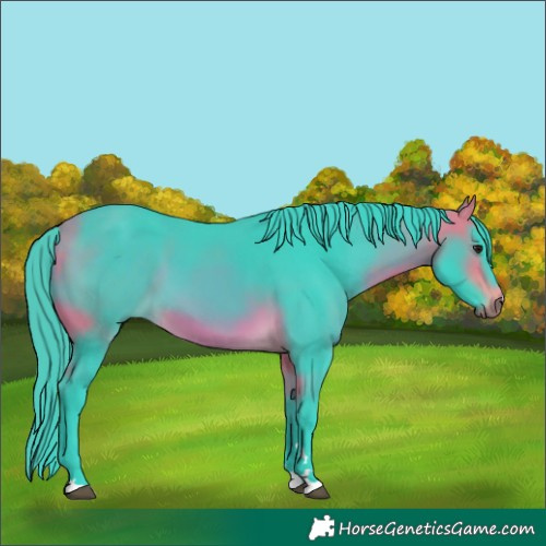 Horse Color:Watercolor Buckskin