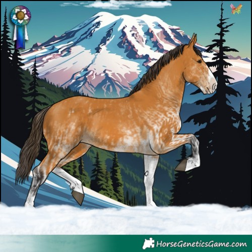 Horse Color:White Spotted Buckskin Splash and White Spotted Buckskin Splash