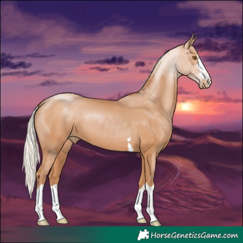 Horse Color:Silver Black Pearl 