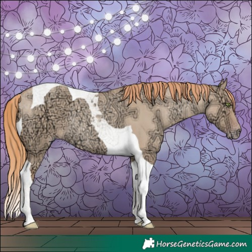 Horse Color:Gold Champagne Ice Dun Tobiano Rabicano