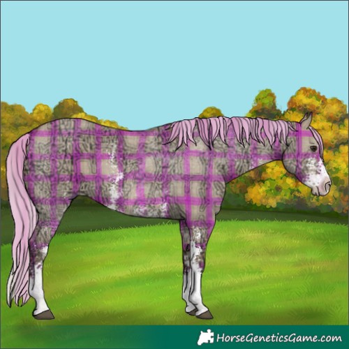 Horse Color:Plaid  Silver Bay Ice Dun Sabino 