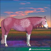 Horse Color:Watercolor Chestnut Splash 