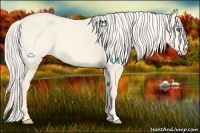 Horse Color:Cremello Dun Frame