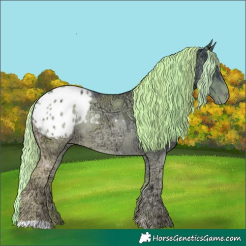 Horse Color:Watercolor Chestnut Chinchilla Ice Appaloosa