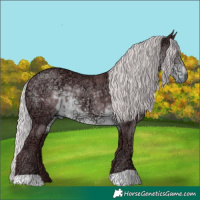Horse Color:Chocolate Silver Smoky Black Chinchilla Ice