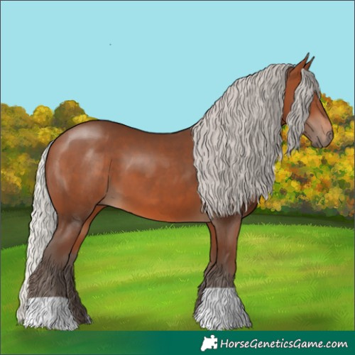 Horse Color:Silver Brown 
