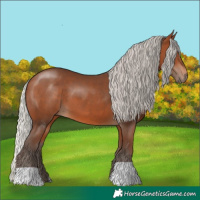 Horse Color:Silver Brown