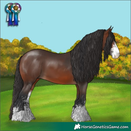 Horse Color:Brown Sabino