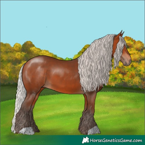 Horse Color:Silver Bay