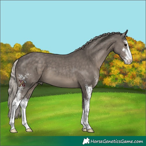 Horse Color:Silver Black Sabino 