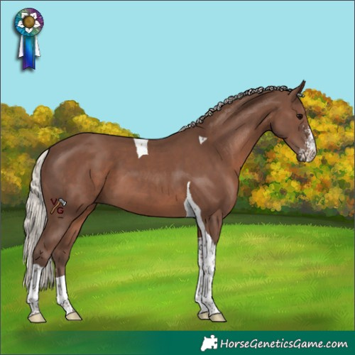 Horse Color:Silver Black Sabino Tobiano