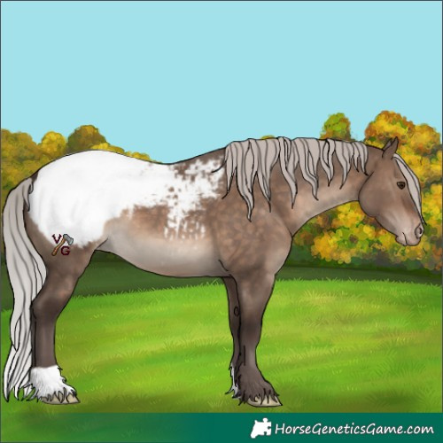 Horse Color:Silver Brown Dun Appaloosa