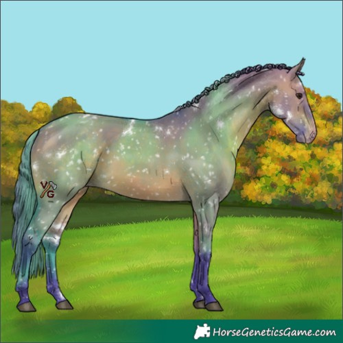 Horse Color:Watercolor White Spotted Brown Dun Appaloosa 
