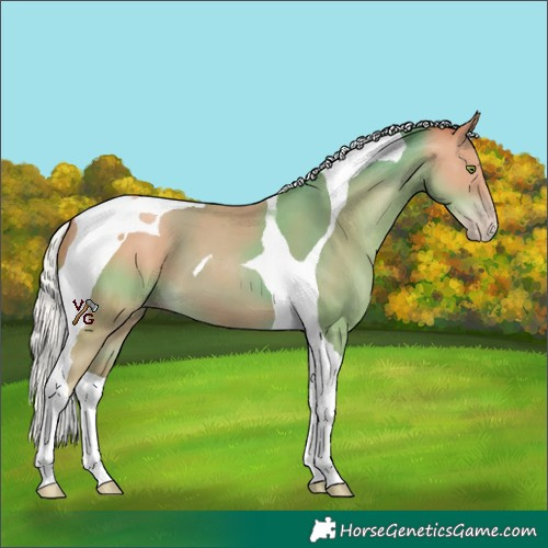 Horse Color:Silver Classic Champagne Tobiano 