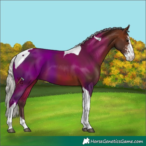 Horse Color:Silver Brown Sabino Tobiano 