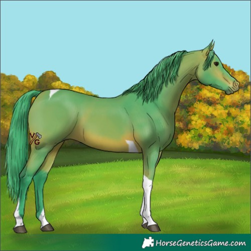 Horse Color:Watercolor Bay Tobiano 