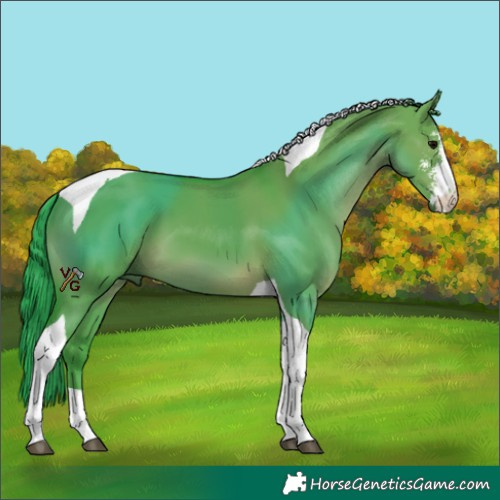 Horse Color:Watercolor Grullo Sabino Tobiano 