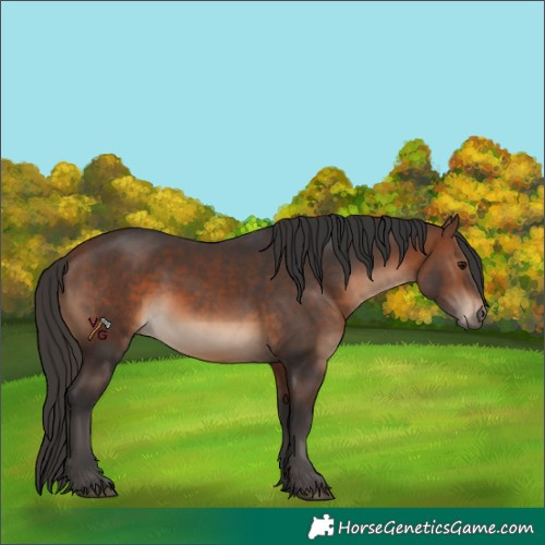 Horse Color:Brown 