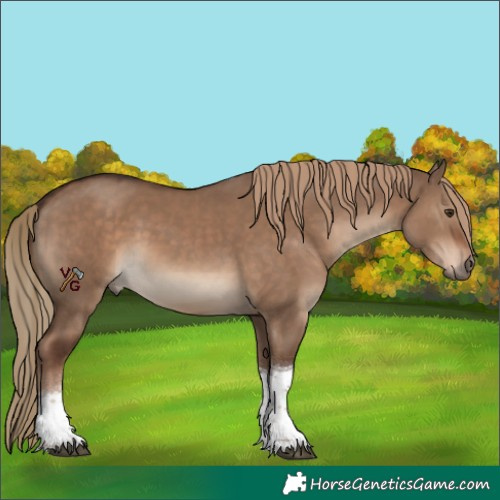 Horse Color:Liver Red Dun Tobiano 