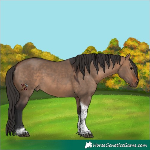 Horse Color:Bay Dun Tobiano