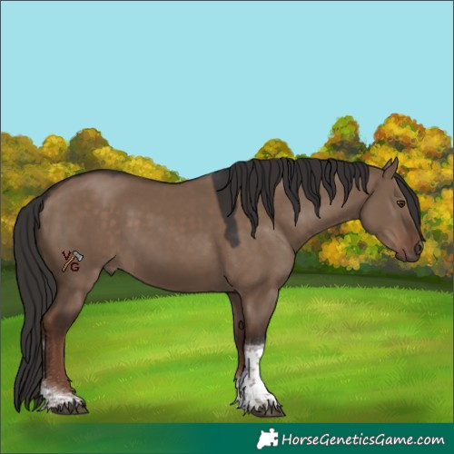 Horse Color:Liver Red Dun Tobiano 