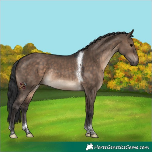 Horse Color:Brown Dun Tobiano Rabicano