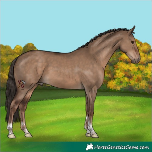 Horse Color:Liver Red Dun Tobiano Rabicano