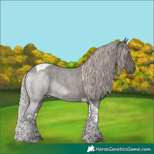 Horse Color:Silver Blue Roan Tobiano Rabicano