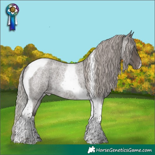 Horse Color:Silver Blue Roan Tobiano Appaloosa