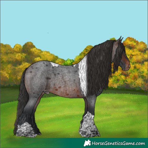Horse Color:Brown Roan Tobiano Appaloosa Rabicano 
