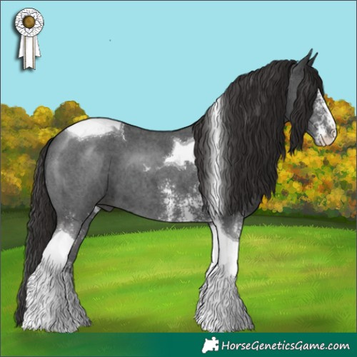 Horse Color:Liver Chestnut Sabino Tobiano 