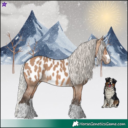 Horse Color:Silver Brown Dun Near Leopard
